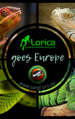 Kooperation-Lorica-SanglPro-1
